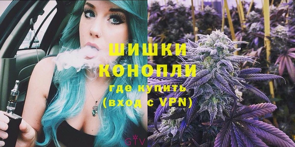 шишки Балахна