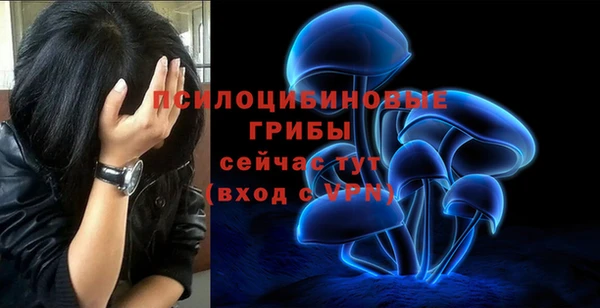 ешки Белоозёрский