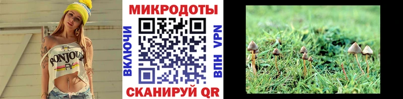 blacksprut tor  Кущёвская  Галлюциногенные грибы прущие грибы 